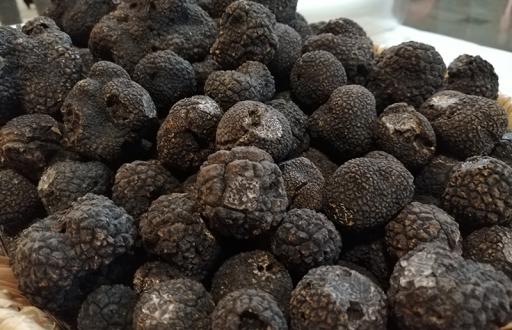 Le Rustique à la Truffe noire du Périgord (24% MG) - 150 g